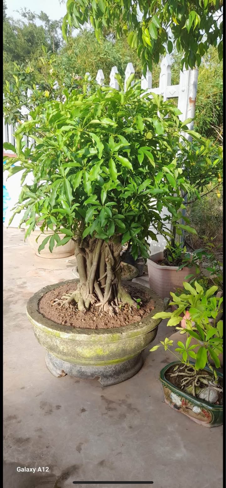 Đất nền Ninh Tiến 117m² giá thỏa thuận - Vị trí đắc địa, tiềm năng kinh doanh!