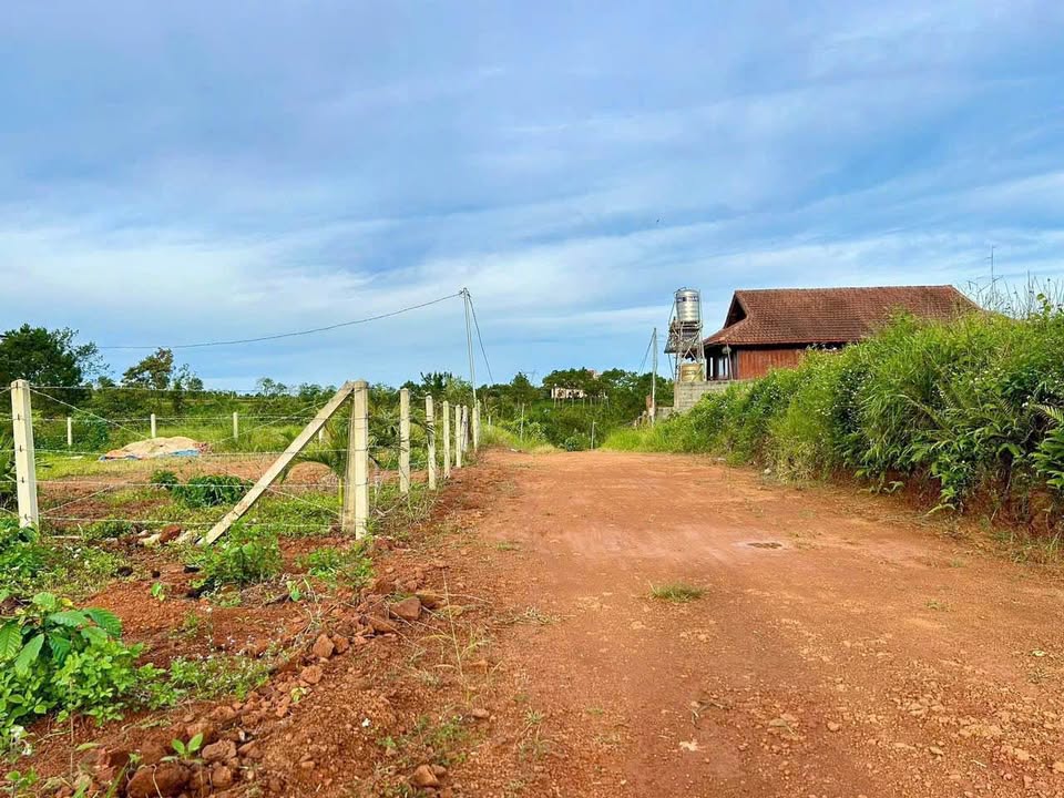 Đất trồng 2 sào 3 Phan Đình Phùng Bảo Lộc 2276m² - Sẵn sàng đầu tư!