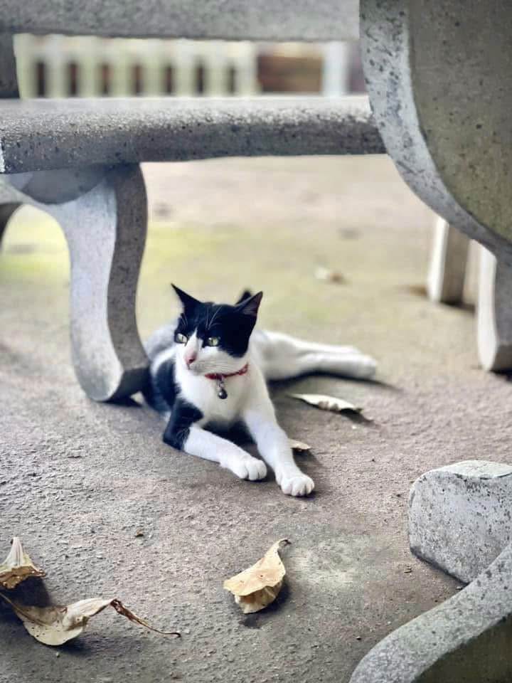 Nhà cho thuê làm CHDV tại Bình Tân 140m² giá 34 triệu - Setup sẵn vào ở ngay!