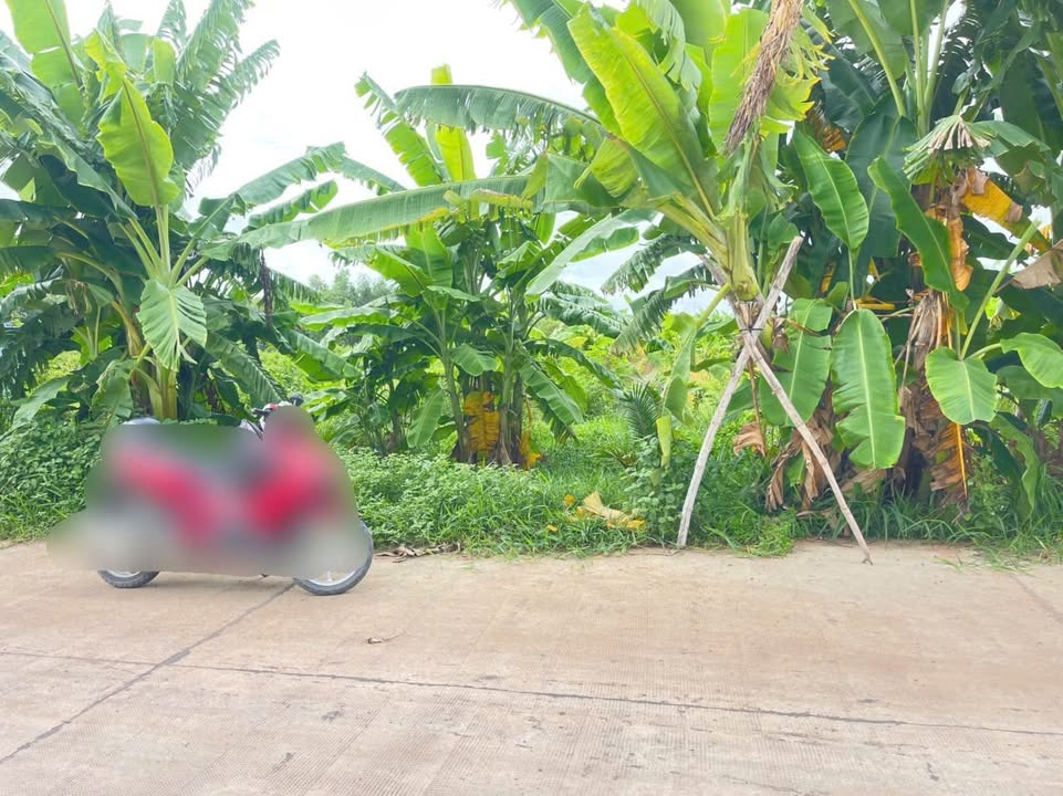 Đất thổ cư Lộc Giang 1106m² giá 3.2 tỷ - Mặt tiền đường lớn, cơ hội đầu tư hấp dẫn!