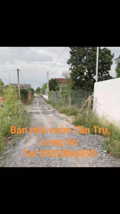 Nhà vườn Tân Trụ, Long An 500m² giá 980 triệu - Sẵn sàng vào ở ngay!