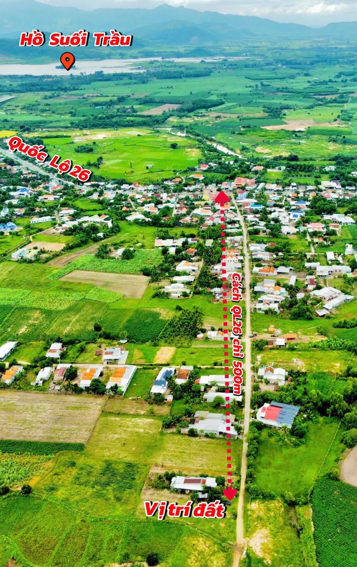 Đất thổ cư 774m² tại Tân Định, Ninh Hòa chỉ 1.39 tỷ - Đầu tư sinh lời ngay!