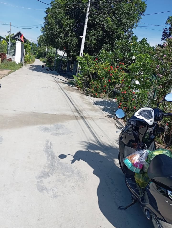 Đất thổ cư 104m² phường Bắc Cam Ranh - Gần Quốc Lộ 1A chỉ 200m!