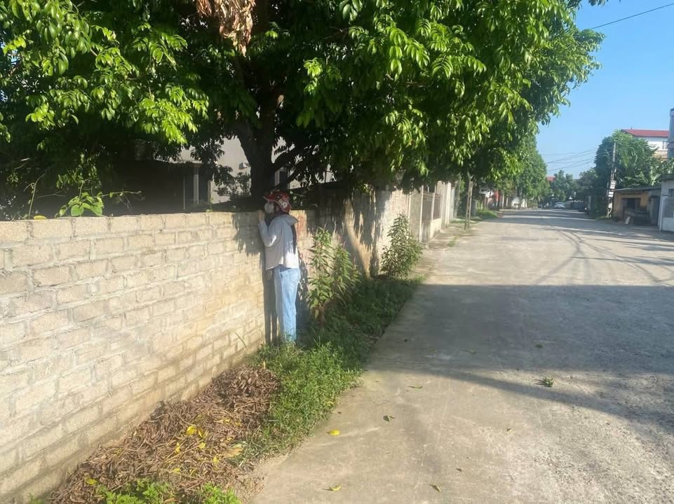 Đất nền Thường Thắng Hiệp Hòa 125m² giá 2 tỷ - Đất đẹp không lỗi phong thủy!