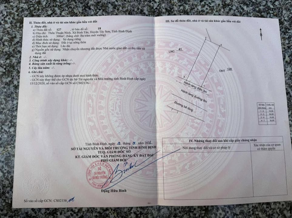 Đất mặt tiền đường mở rộng tại Bình Tân, Tây Sơn 300m² - Đầu tư sinh lời hấp dẫn!