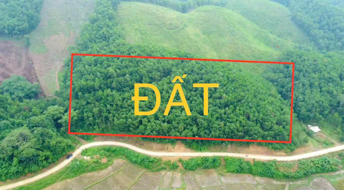 Lô đất Farm tại Phú Vinh, Tân Lạc, Hòa Bình 10.000m² - Cơ hội đầu tư tuyệt vời!