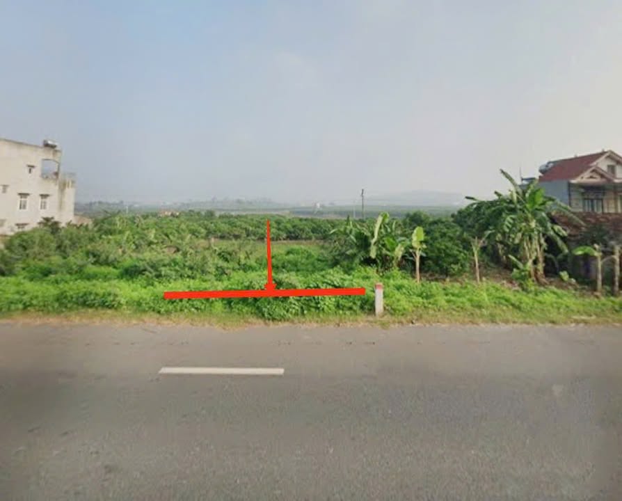 Đất mặt tiền Quốc Lộ 31 Phượng Sơn 102m² giá 2 tỷ - Đầu tư sinh lời ngay!