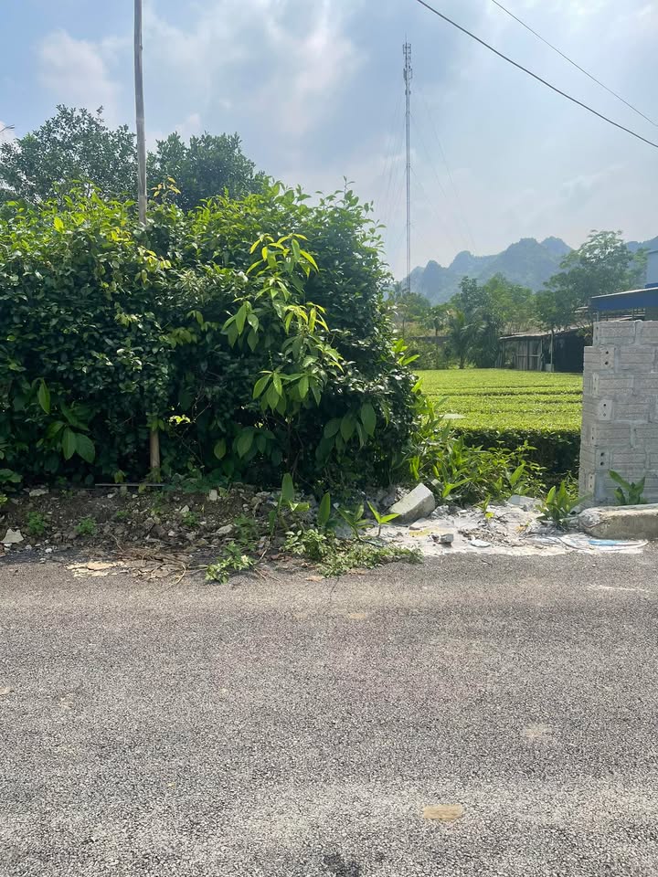 Đất nền Phú Thành Lạc Thủy 130m² giá chỉ 4xx triệu - Cơ hội đầu tư sinh lời hấp dẫn!