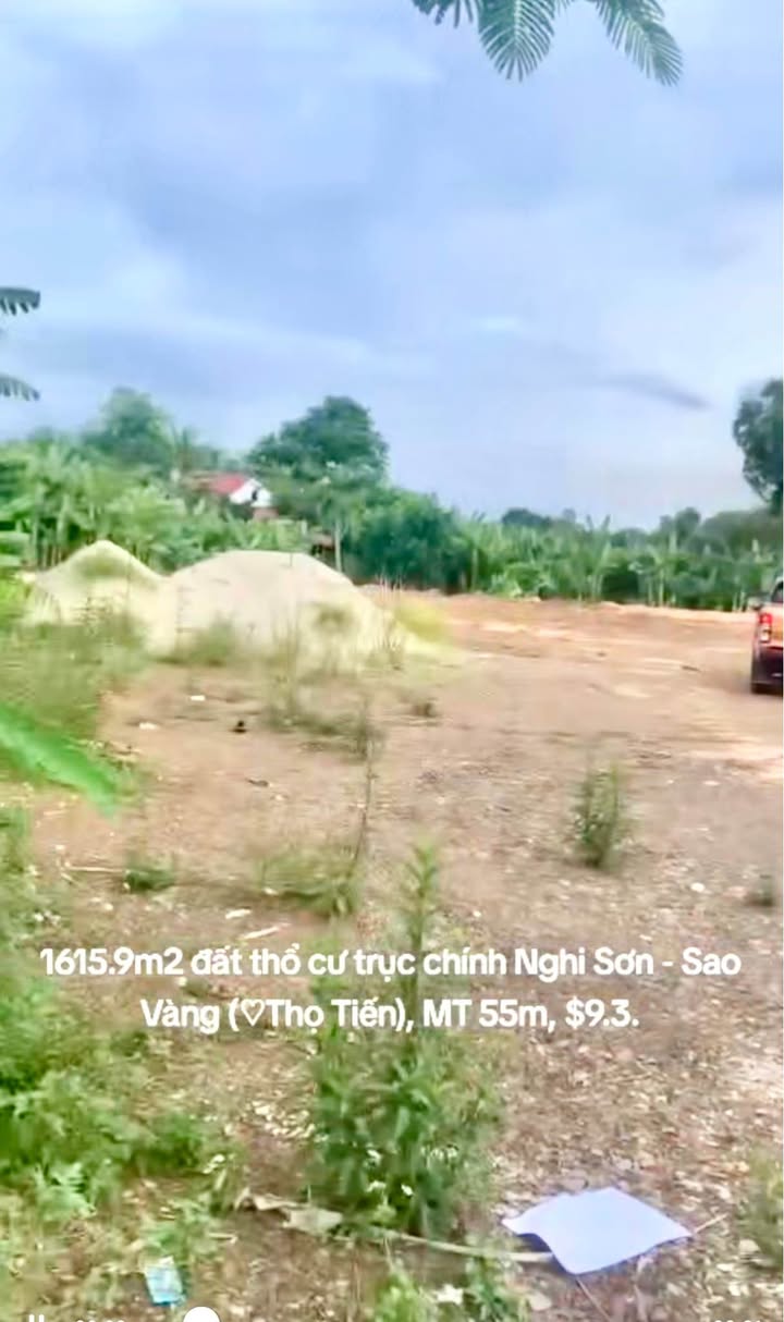 Lô đất thổ cư mặt đường Nghi Sơn – Sao Vàng 2000m² giá 9.3 tỷ - Đầu tư sinh lời cao!