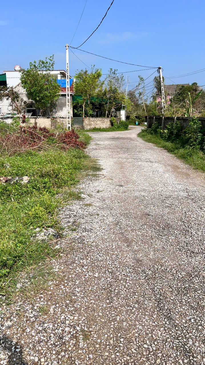 Đất Nền Nghi Thái 232m² giá 2 tỷ - Cơ hội đầu tư hấp dẫn!