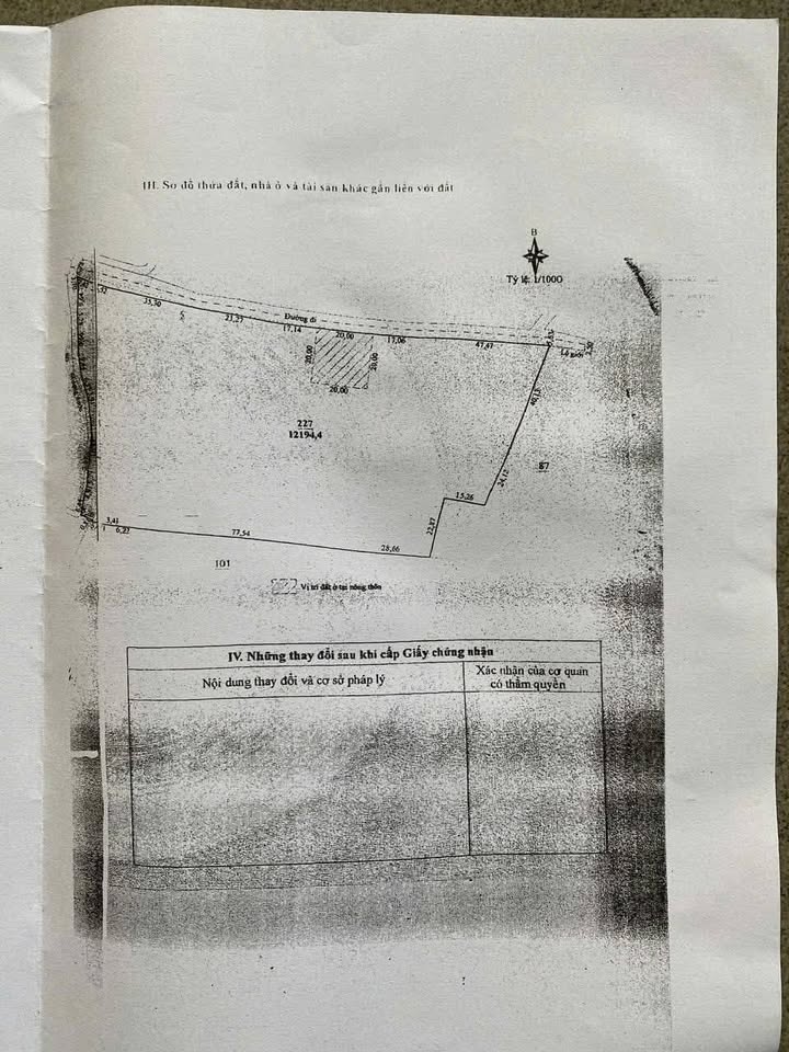 Đất Phú Hội - Đức Trọng 10.000m² giá 12 tỷ - Đầu tư sinh lời ngay!