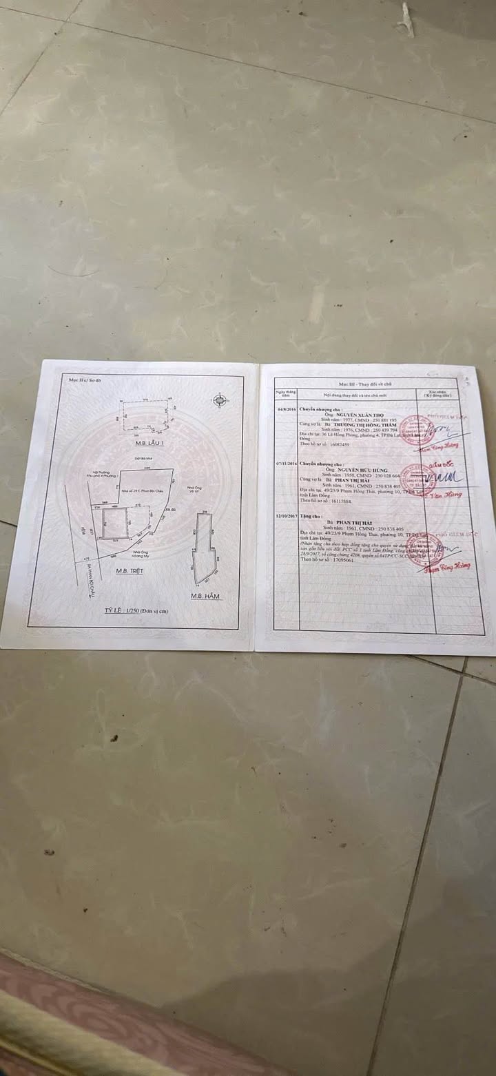 Nhà mặt tiền Phan Bội Châu, Đà Lạt 217m² giá 30 tỷ - Đầu tư sinh lời ngay!