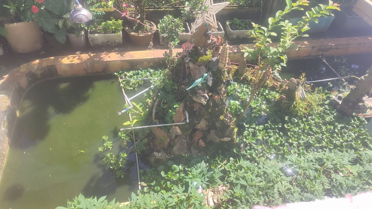 Nhà Bán Hẻm Đinh Tiên Hoàng, Bảo Lộc 1200m² - Giá 8 Tỷ - Diện Tích Rộng Rãi!