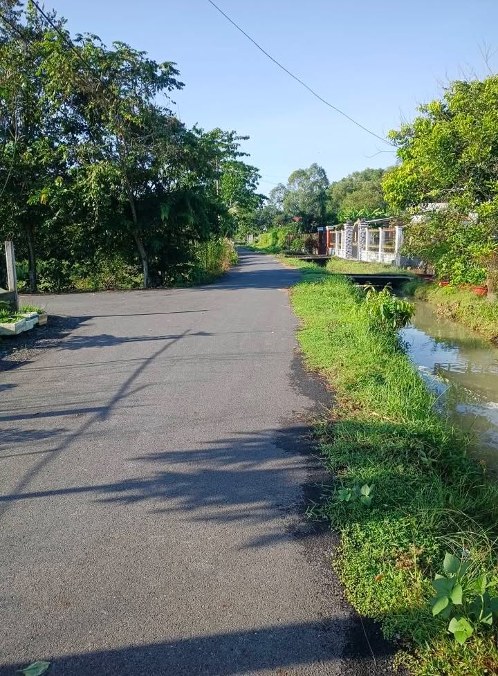 Nhà cấp 4 đường 615, ấp Mũi Côn Tiểu, 120m² giá 1.6 tỷ - Chính chủ bán gấp!