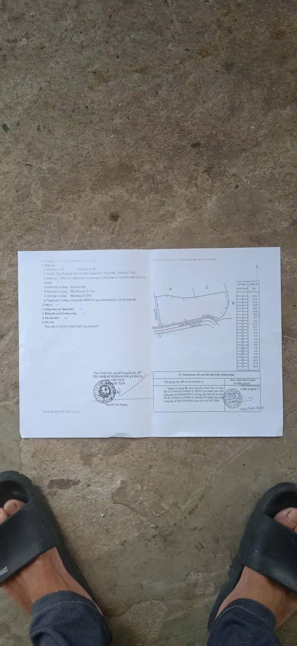 Đất mặt kênh Sông Quao 24000m² giá 150 triệu - Đầu tư sinh lời ngay!