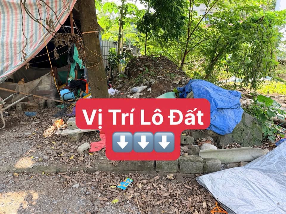 Đất nền 80.6m² tại Xóm Bách Hóa, Ứng Hòa, Hà Nội - Sổ đỏ chính chủ, giá tốt!