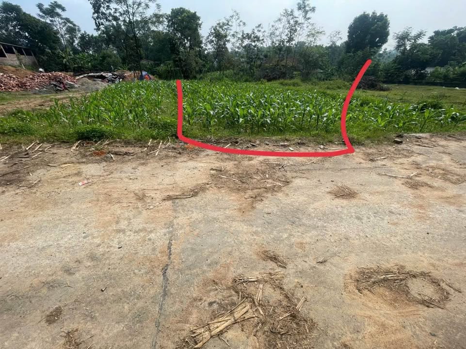 Đất nền Đồng Tĩnh Tam Dương 125m² giá chỉ 400 triệu - Đầu tư sinh lời ngay!