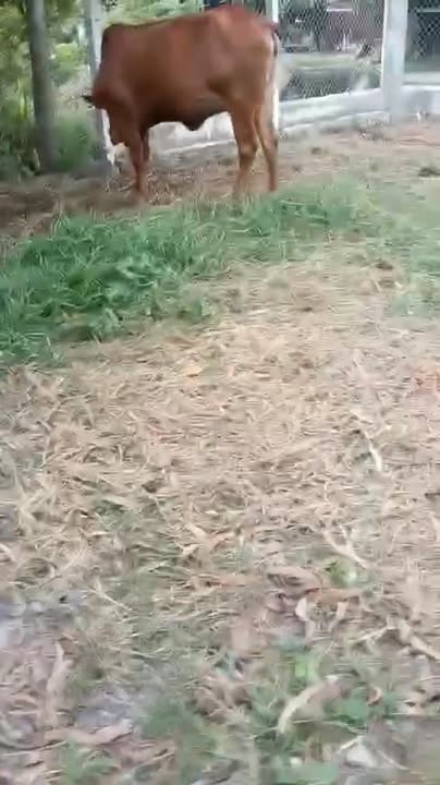 Đất nền Hiệp Hòa, Đức Hòa 2000m² giá 1.75 tỷ - Nhà đẹp, tiện nghi sẵn sàng!