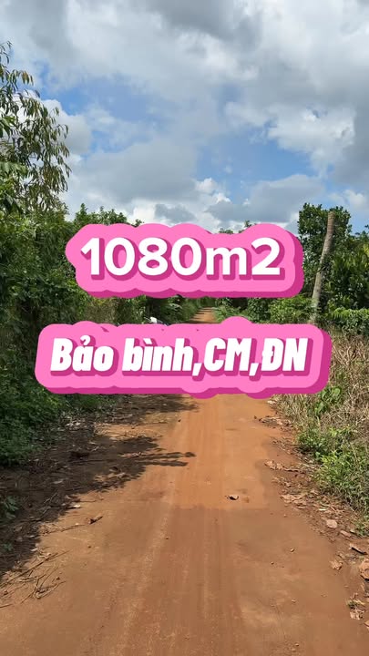 Đất thổ cư Bảo Bình Cẩm Mỹ 1080m² giá 950 triệu - Đầu tư lý tưởng!