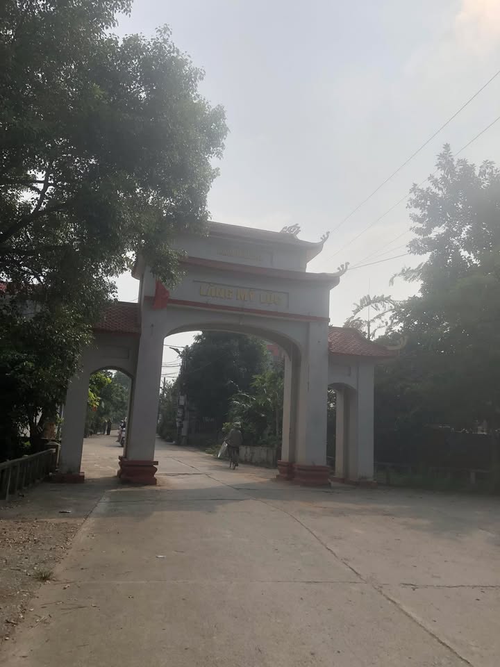 Đất thổ cư thôn Mỹ Lộc, Thanh Lâm 80m² - Sổ đỏ chính chủ, giá tốt thỏa thuận!