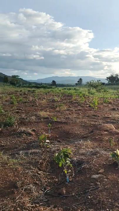 Đất nông nghiệp tại Xã Ia Le, huyện Chư Pưh - Diện tích 10ha, giá 1.789 tỷ - Cơ hội đầu tư hấp dẫn!