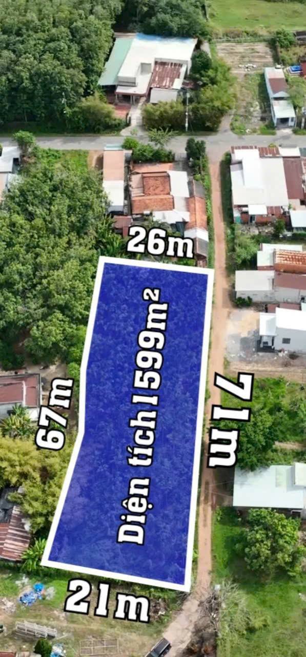 Đất nền Củ Chi 1.599m² giá 4.615 tỷ - Cơ hội đầu tư sinh lời nhanh!