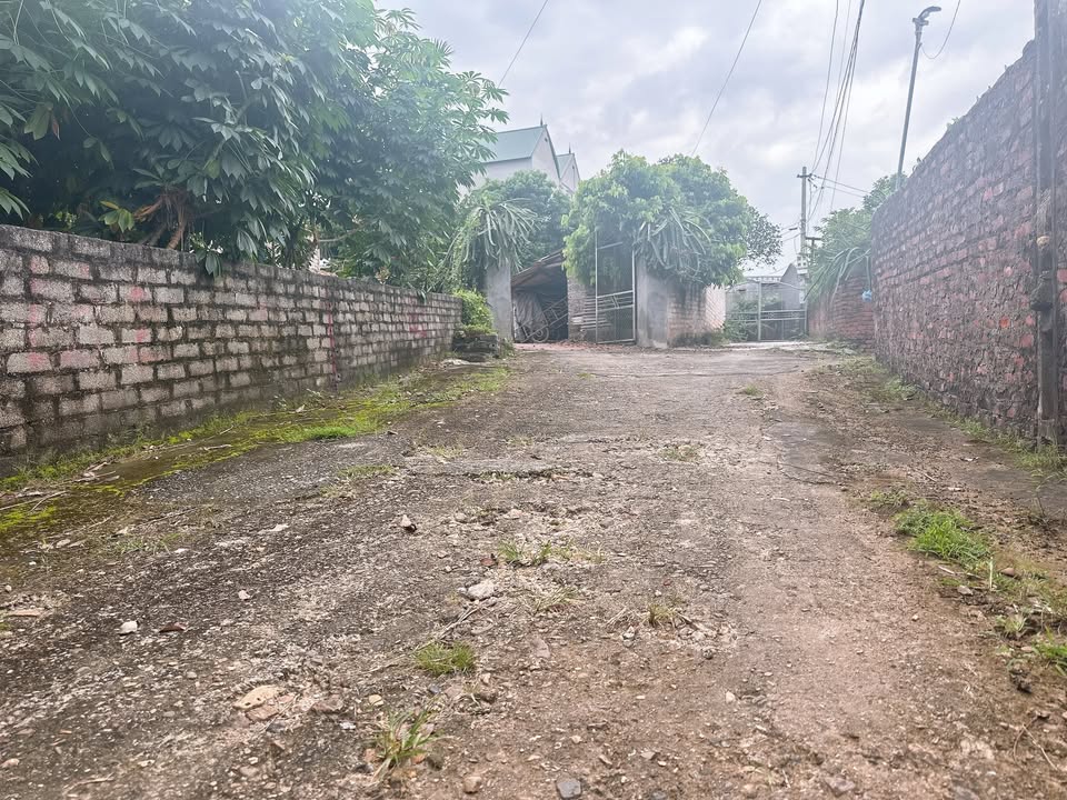 Đất nền Quang Thịnh 108m² giá 400 triệu - Sổ đỏ chính chủ, đường ô tô vào tận nơi!