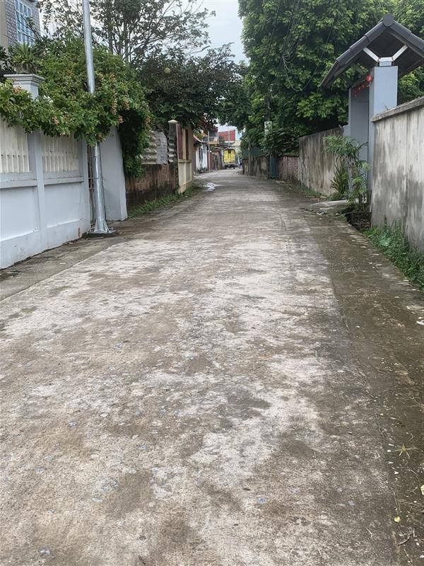 Đất nền Ninh Xá, Thuận Thành 311m² giá 5.6 tỷ - Sổ đỏ chính chủ, thổ cư 100%!