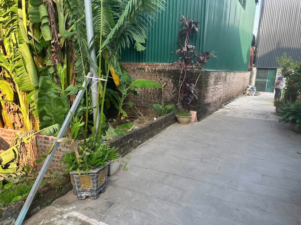 Đất thổ cư Vạn Phúc, Thanh Trì 50m² giá 2 tỷ - Sổ đỏ chính chủ ngay!