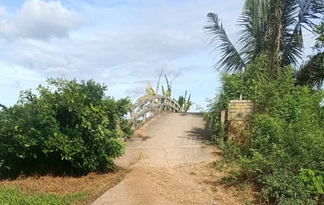 Đất nền Phú Lễ, Ba Tri, Bến Tre 2037m² giá chỉ 160 triệu - Cơ hội đầu tư tuyệt vời!