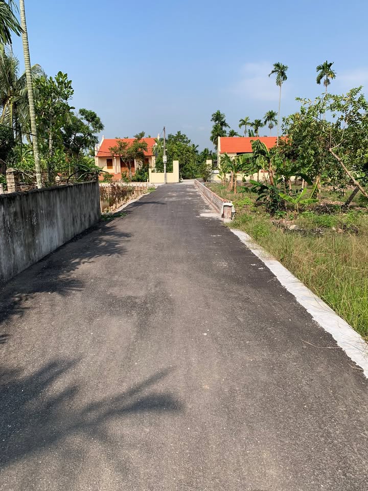 Đất nền Tân Phong, Kiến Thụy 85m² giá 1.4 tỷ - Cơ hội đầu tư hấp dẫn!