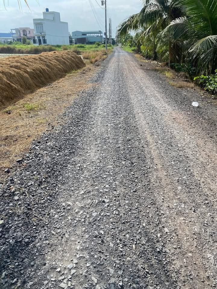 Đất nền 125m² Cần Đước giá 1.2 tỷ - Mặt tiền Nguyễn Văn Dện, sổ hồng riêng!