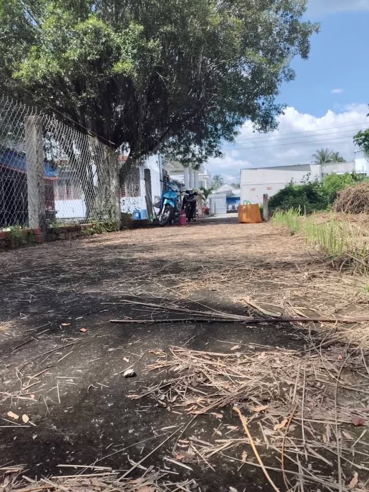 Đất nền biệt thự xã Tam Phước, Bến Tre 351m² giá 1.15 tỷ - Đường ô tô vào tận nơi!