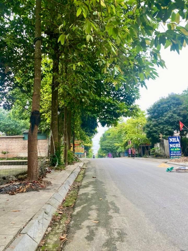 Đất nền Rặng Xi, Việt Trì 200m² giá chỉ 2.1 tỷ - Kinh doanh thuận lợi!