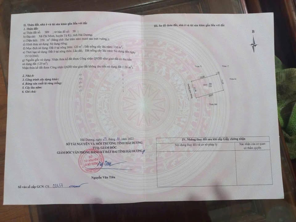 Đất nền Tứ Kỳ Hải Dương 256m² giá chỉ 1.9 tỷ - Đường ô tô rộng rãi!