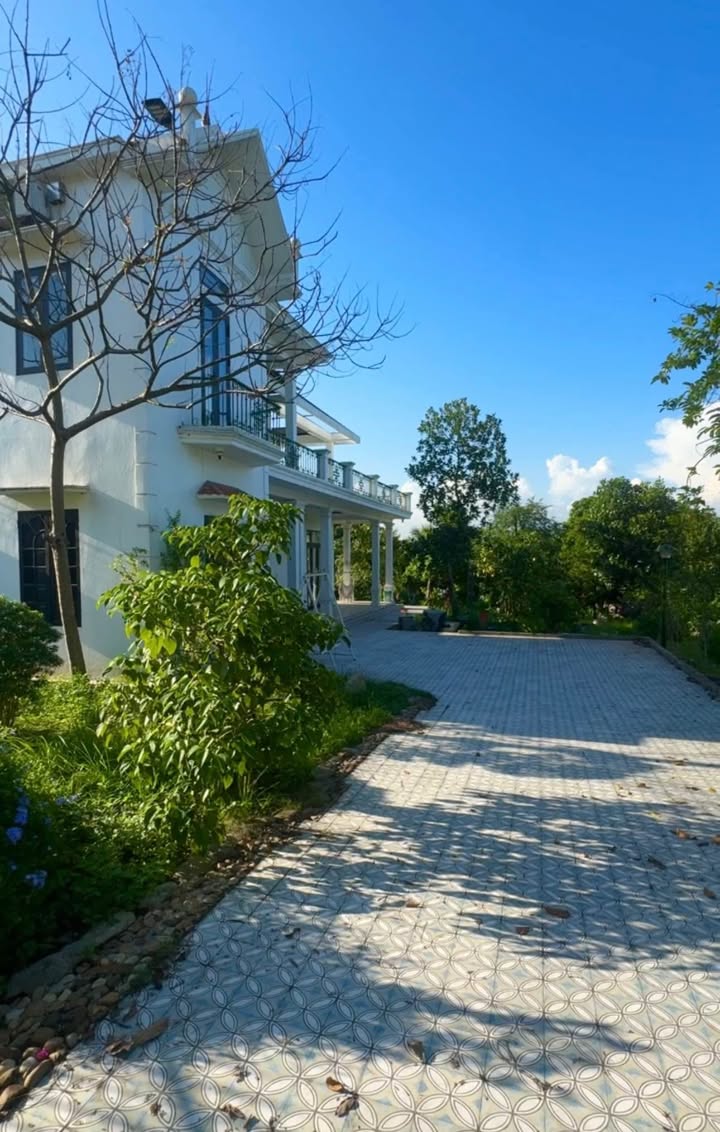 Biệt thự nhà vườn Thủy Nguyên Hải Phòng 1600m² giá 15 tỷ - Không gian sống lý tưởng!