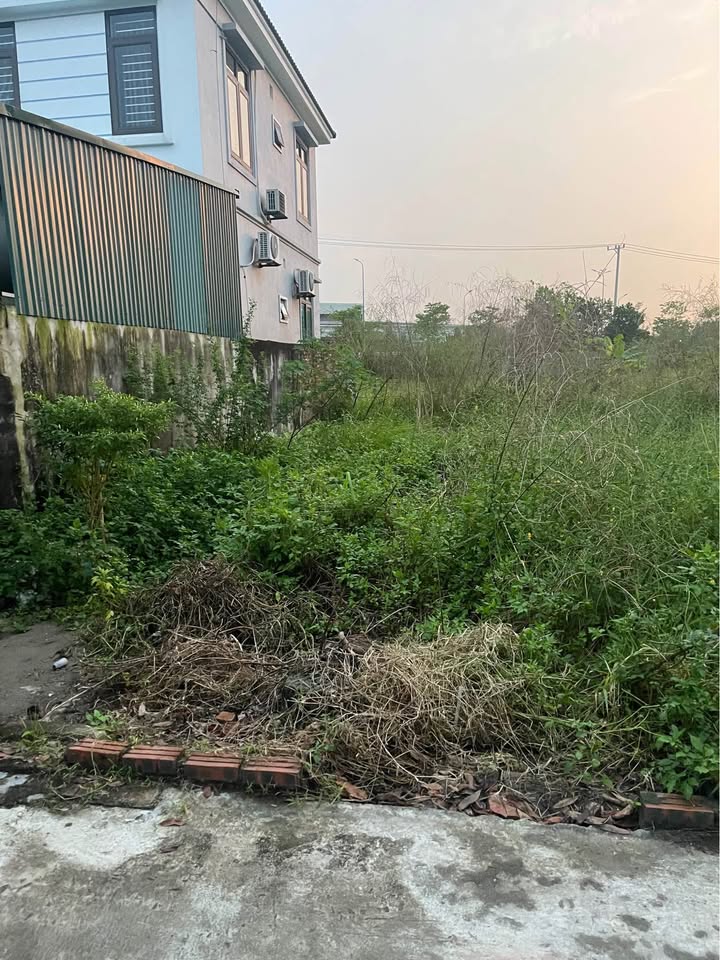 Đất nền Mai Đình Sóc Sơn 85m² giá 2 tỷ - Đầu tư sinh lời cao!