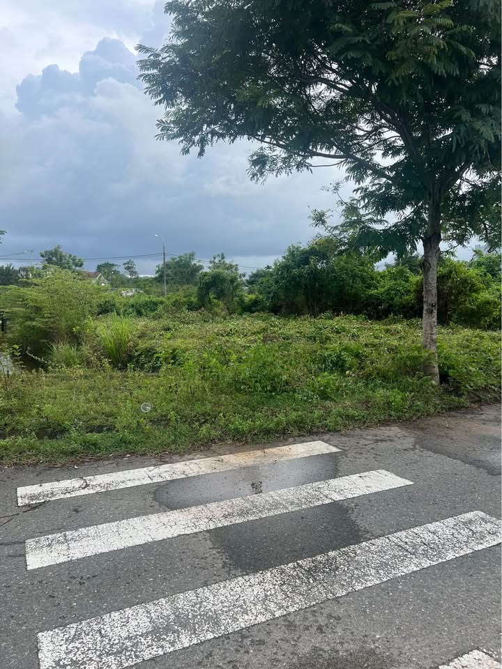 Đất nền Hòa Ninh 150m² giá 2 tỷ - Sẵn sàng kinh doanh ngay!