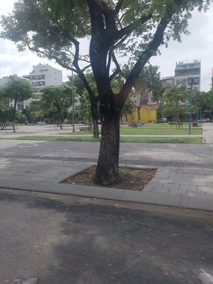 Nhà 4 tầng đường Lê Thước, Đà Nẵng 90m² giá chỉ 16 tỷ - Sát công viên Hồ Nghinh!