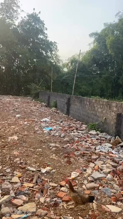 Đất nền 600m² tại xã Cao Dương, huyện Lương Sơn - Đầu tư sinh lời hấp dẫn!