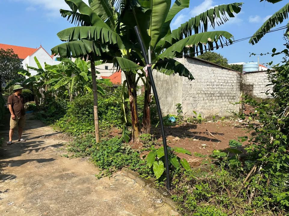 Đất thổ cư tại Bờ Kênh, Vân Tảo 55.5m² giá 2.1 tỷ - Cơ hội đầu tư hấp dẫn!