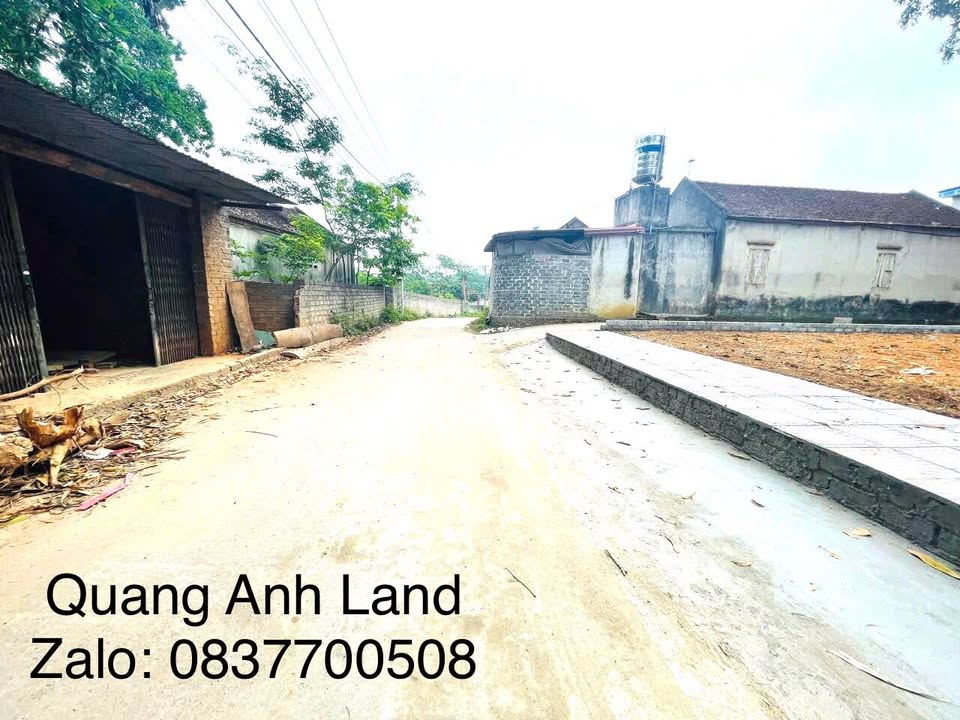 Đất liền kề thổ cư tại Thị trấn Thắng, Bắc Giang 250m² - Cơ hội đầu tư tuyệt vời!