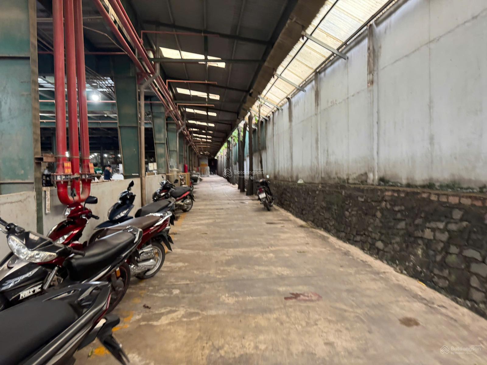 Nhà xưởng cho thuê tại Biên Hòa 2, 9.500m² - Hạ tầng hiện đại, pháp lý rõ ràng!