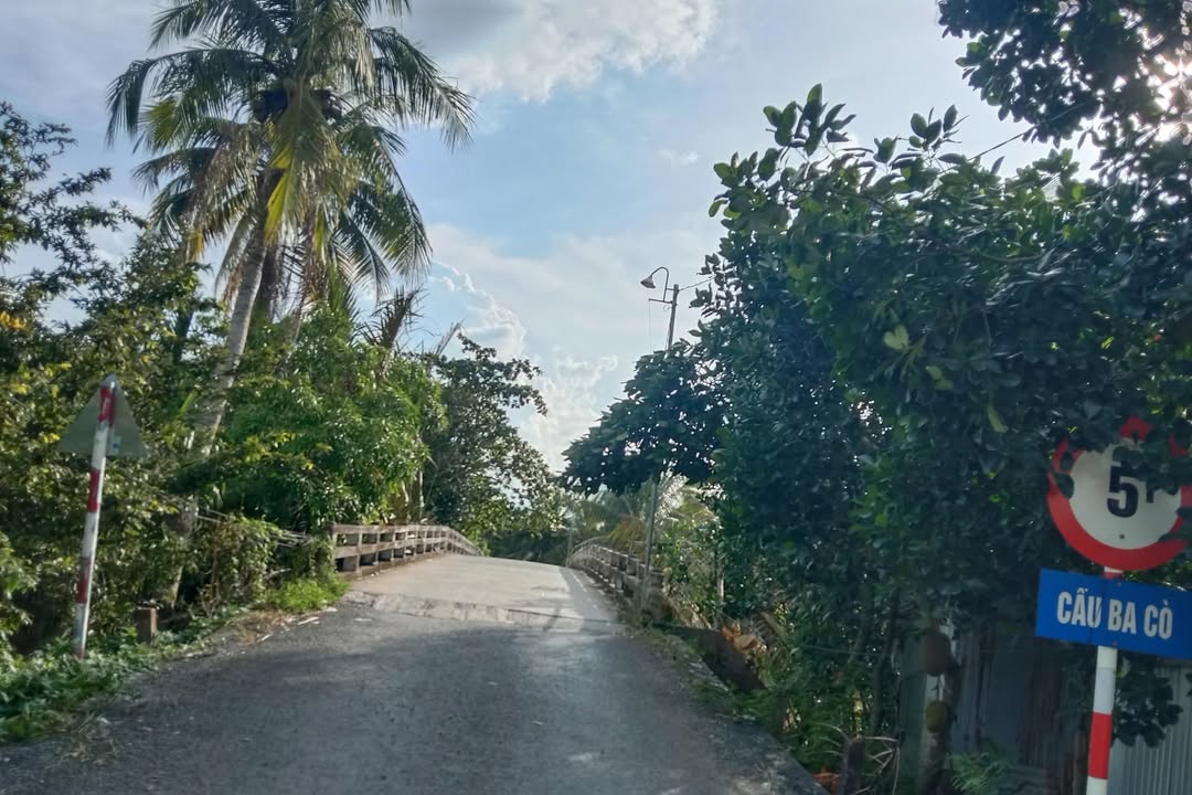 Đất thổ cư Tân Long Hội 308m² giá 800 triệu - Mặt tiền đường huyện 32, sẵn sàng đầu tư!