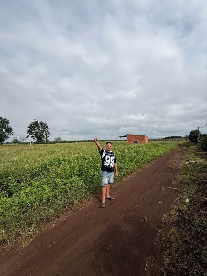 Đất nền Tân Hội 5300m² giá 2.8 tỷ - Cơ hội đầu tư không thể bỏ qua!