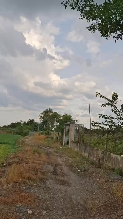 Nhà vườn Bình Mỹ Củ Chi 500m² giá 3 tỷ - Ngộp cần bán gấp!