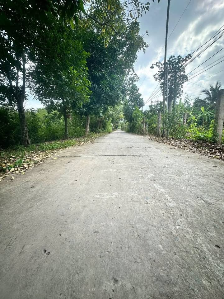 Đất nền Bình Minh 170m² giá 400 triệu - Cơ hội đầu tư hấp dẫn!