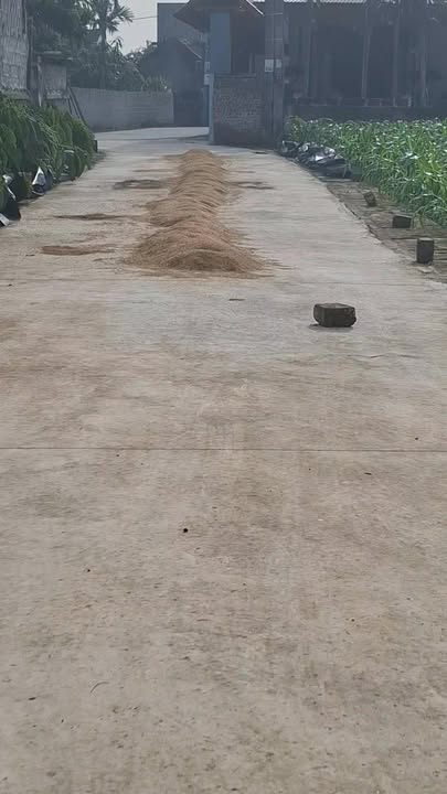 Đất thổ cư 200m² xã Thiện Phiến, Tiên Lữ 755m² giá 4 tỷ - Đường ô tô tránh nhau!