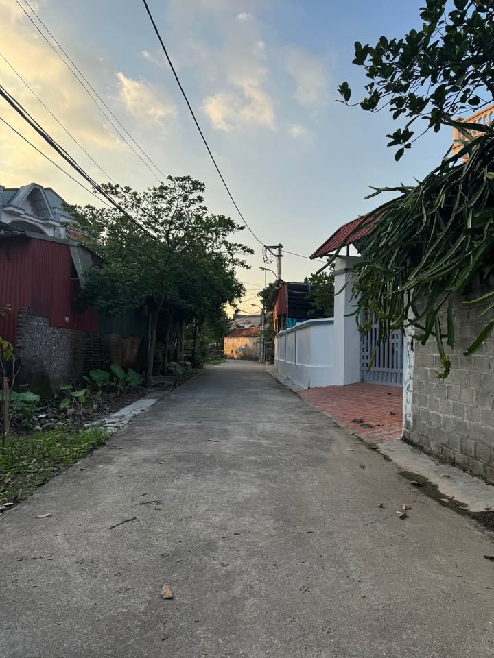 Đất khu phố Khuê Liễu, phường Tân Hưng, TP Hải Dương 65m² - Đường rộng ô tô vào tận nơi!