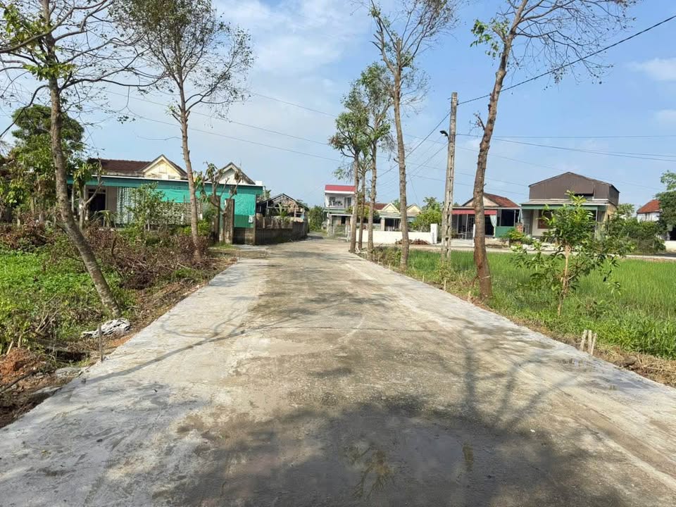 Đất thổ cư thôn Đông Hạ, Cẩm Vịnh 163m² giá 1.1 tỷ - Cơ hội đầu tư tuyệt vời!